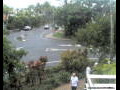 Webcam Port Douglas
