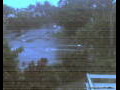 Webcam Port Douglas