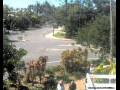 Webcam Port Douglas