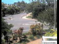 Webcam Port Douglas