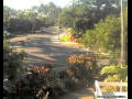 Webcam Port-Douglas