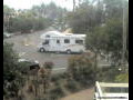 Webcam Port Douglas