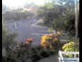 Webcam Port Douglas
