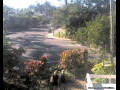 Webcam Port Douglas