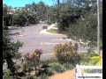 Webcam Port Douglas
