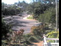 Webcam Port-Douglas