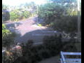 Webcam Port Douglas