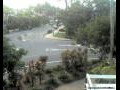 Webcam Port Douglas