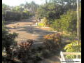 Webcam Port Douglas