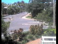 Webcam Port Douglas