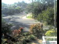 Webcam Port Douglas