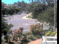 Webcam Port Douglas