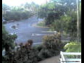 Webcam Port Douglas