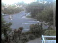 Webcam Port Douglas