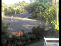 Webcam Port-Douglas