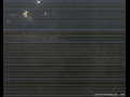 Webcam Port Douglas