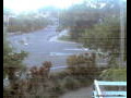 Webcam Port Douglas