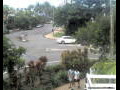 Webcam Port Douglas
