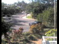 Webcam Port Douglas