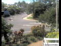 Webcam Port Douglas