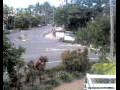 Webcam Port Douglas