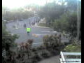 Webcam Port Douglas
