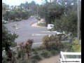 Webcam Port Douglas