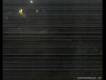 Webcam Port Douglas