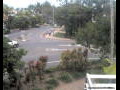 Webcam Port Douglas
