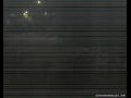 Webcam Port Douglas