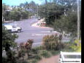 Webcam Port Douglas