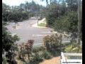 Webcam Port Douglas
