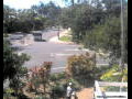 Webcam Port Douglas
