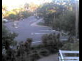 Webcam Port Douglas