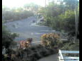 Webcam Port Douglas