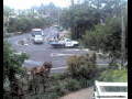 Webcam Port Douglas