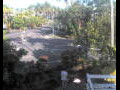 Webcam Port Douglas