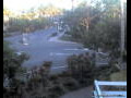 Webcam Port Douglas