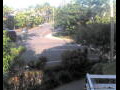 Webcam Port Douglas