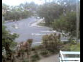 Webcam Port Douglas