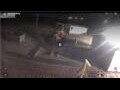 Webcam Domburg