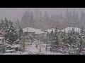 Webcam Bellevue, Washington