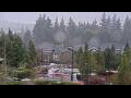 Webcam Bellevue, Washington