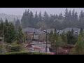 Webcam Bellevue, Washington