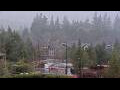 Webcam Bellevue, Washington