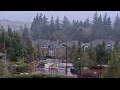 Webcam Bellevue, Washington