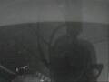Webcam Mein Schiff 3