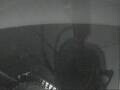 Webcam Mein Schiff 3