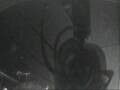 Webcam Mein Schiff 3