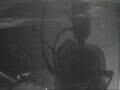 Webcam Mein Schiff 3